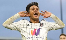 九游体育app-富勒姆无缘晋级，悲伤日记唐突