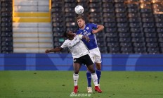 九游体育官方入口-卡迪夫城主场大胜富勒姆，豪取三分的简单介绍