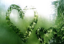 九游体育在线-RB莱比锡客场胜云达不莱梅，追赶集团位置稳固！，云达不莱梅vs莱比锡红牛