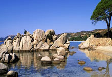 九游体育官方登录入口-黑龙江哈尔滨士气高昂，扬帆迎战贵州贵阳的激动时刻