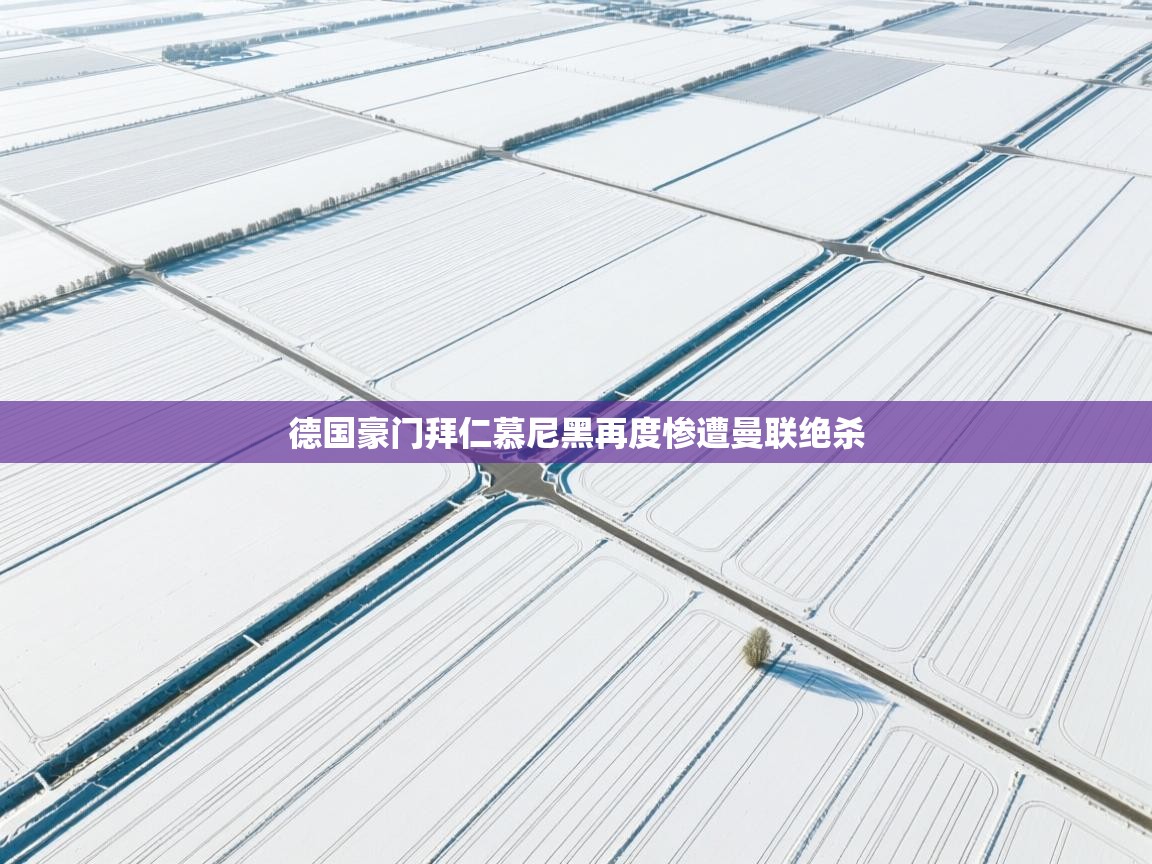 德国豪门拜仁慕尼黑再度惨遭曼联绝杀  第2张