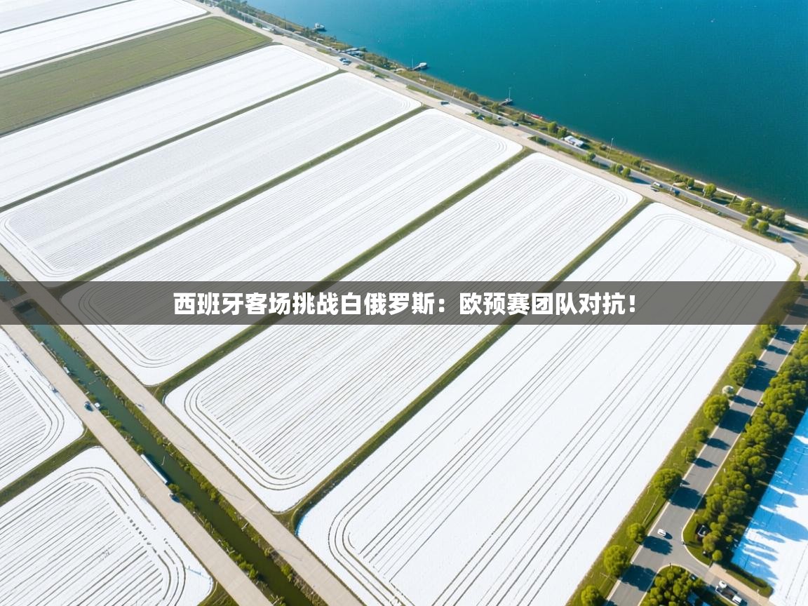 西班牙客场挑战白俄罗斯:欧预赛团队对抗! 第2张